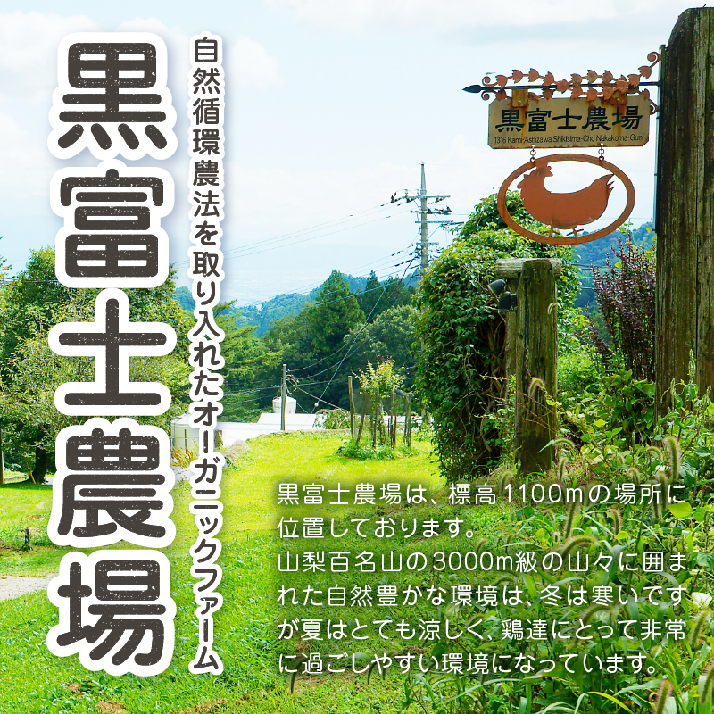 甲州放牧卵の定期便 18個×10回　F-503