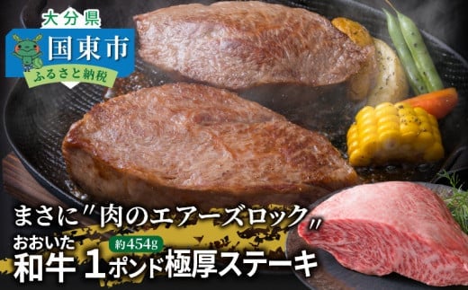 【A4～A5等級】まさに〃肉のエアーズロック〃おおいた和牛１ポンド極厚ステーキ・通_29365A
