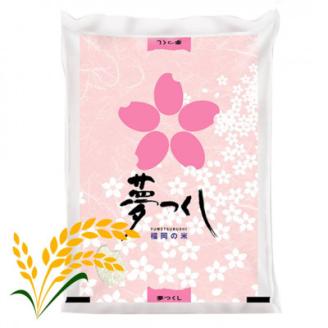 【令和5年産】福岡県産米食べ比べ＜白米＞「夢つくし」と「元気つくし」セット　計10kg芦屋町