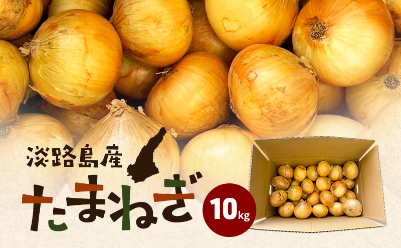 淡路島産たまねぎ 10kg 玉ねぎ タマネギ 甘い 兵庫県 洲本市 淡路島