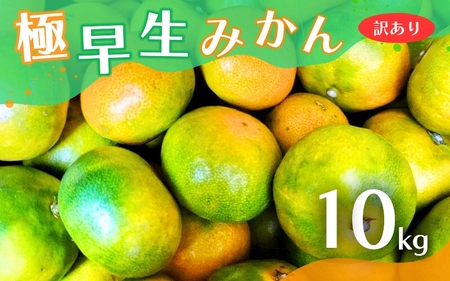 【2024年秋頃発送予約分】【訳あり】こだわりの極早生みかん 約10kg ※2024年10月上旬より順次発送予定（お届け日指定不可） 有機質肥料100% サイズ混合  有田産【nuk167】