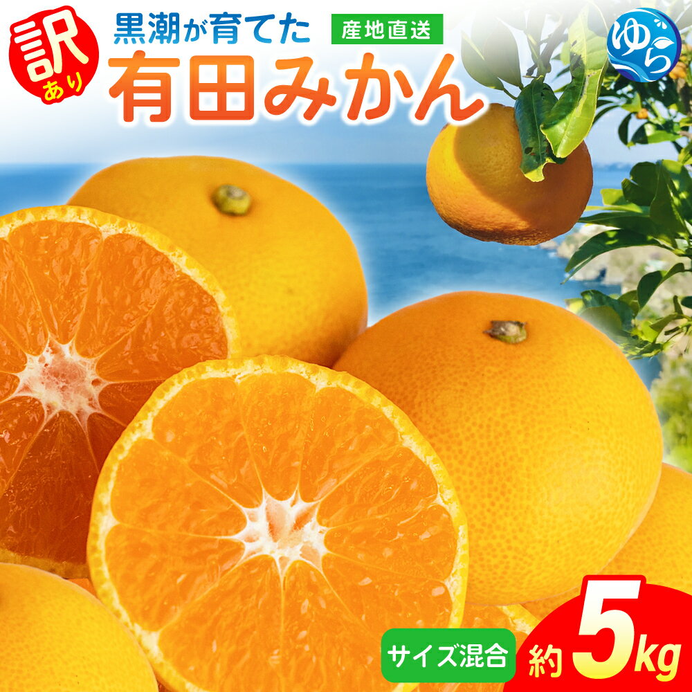【ふるさと納税】【先行予約】有田みかん（訳あり・サイズ混合）約5kg※2025年11月上旬頃から順次発送予定（お届け時間帯指定可） / 蜜柑 柑橘 ミカン フルーツ 果物 くだもの 食品 人気 おすすめ 産地直送 和歌山県 由良町