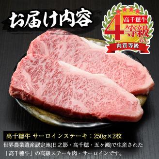 高千穂牛 サーロインステーキ(250g×2枚)国産 宮崎県産 宮崎牛 牛肉 ステーキ サーロイン 霜降り A4 和牛 ブランド牛【MT013】【JAみやざき 高千穂牛ミートセンター】