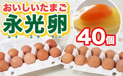 
メディア紹介多数！ おいしいたまご永光卵 40個 えいこうらん 光永ファーム 卵 たまご 君津市産
