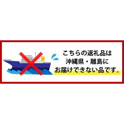 ふるさと納税 妙高市 【先行受付】令和7年産 越後妙高命の矢 こしいぶき 10.2kg |  | 03