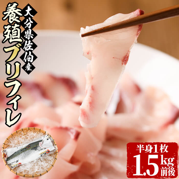 【ふるさと納税】養殖 ブリフィーレ (1.5kg前後・半身1枚) 大分県産 国産 ブリ ぶりフィーレ 鰤フィレ 養殖ブリ 新鮮 刺身 しゃぶしゃぶ 照り焼き 鰤かま 冷蔵 大分県 佐伯市 【AL94】【さいきりーふ】