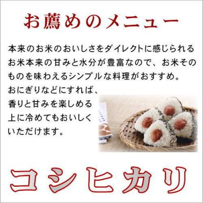 ふるさと納税 田村市 【令和6年産】田村市産コシヒカリ10kg(5kg×2袋) |  | 02