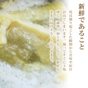 無添加高品質 タケノコ 800g たけのこ