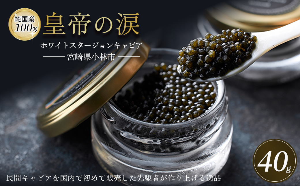
            【純国産キャビア】ホワイトスタージョンキャビア 40g（20g×2） 皇帝の涙 国産 チョウザメ キャビア 国産キャビア 魚卵 宮崎県
          