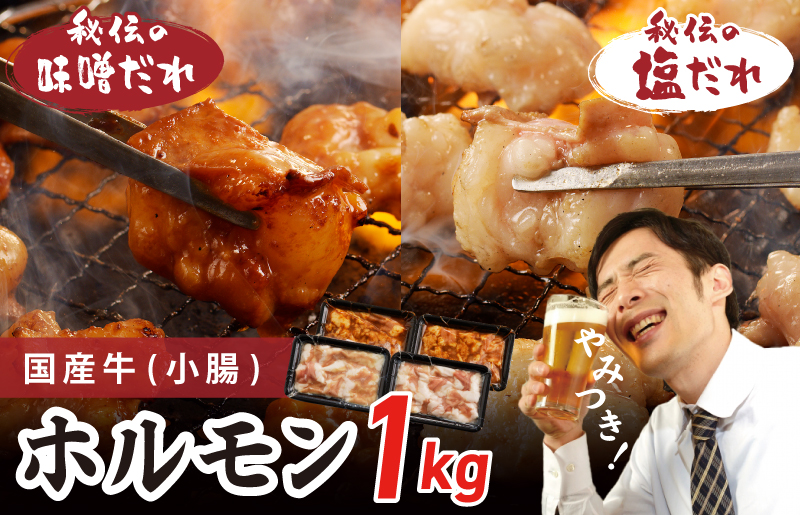 国産 牛肉 ホルモン 1kg 味付けMIX 味噌／塩だれ 焼肉用 小分け 250g×4P【牛肉 焼肉用 焼くだけ 小分け BBQ やきにく 数量限定 大阪 泉佐野 大阪府 泉佐野市】