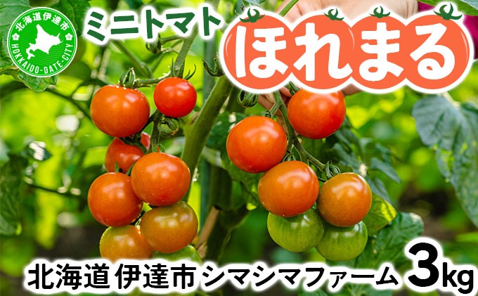 北海道 伊達市 ミニトマト ほれまる 3kg