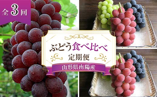 【令和7年産先行予約】 《定期便3回》 ぶどう食べ比べ 定期便 《令和7年7月～発送》 『漆山果樹園』 葡萄 ぶどう ブドウ 果物 フルーツ デザート 山形県 南陽市 [1179]