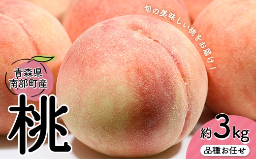 
                  品種お任せ 桃 3kgセット 【村井青果】 青森県産 もも モモ フルーツ 果物 旬 贈答 ギフト 朝採り 川中島白桃・あかつき・まどか・夕空・西王母 食べ比べ フルーツ 青森県 三戸 南部町 F21U-722
                
