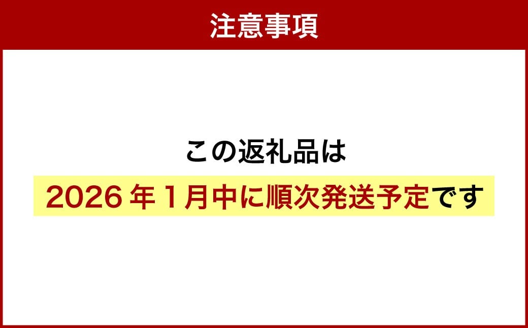 北海道産 ゆめぴりか 10kg 五つ星お米マイスター監修(深川産)