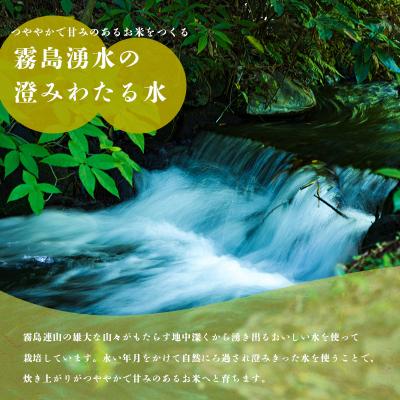 ふるさと納税 高原町 【令和7年産】霧島湧水が育む『きりしまのゆめ』特別栽培米ヒノヒカリ6kg(2kg×3p) TF304 |  | 01