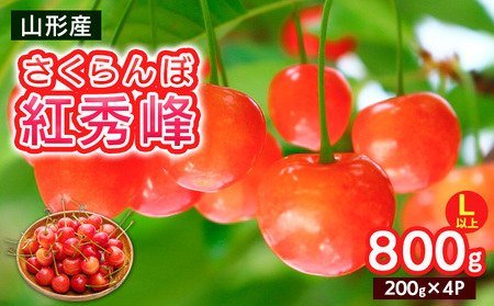 さくらんぼ Lサイズ以上 紅秀峰 800g(200g×4パック)【令和8年産先行予約】FS25-065