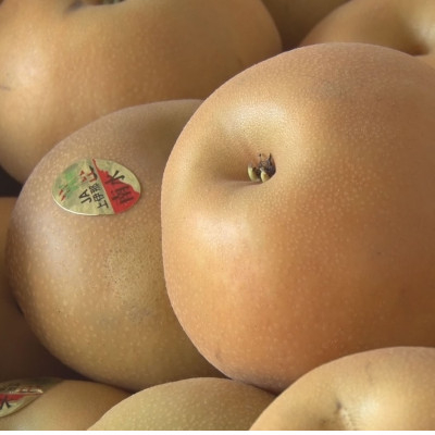 
            南水梨 4.5kg(秀10～12玉)【1615471】
          