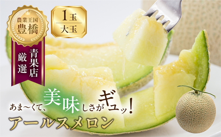 アールスメロン 大玉 1玉 豊橋城下 メロン