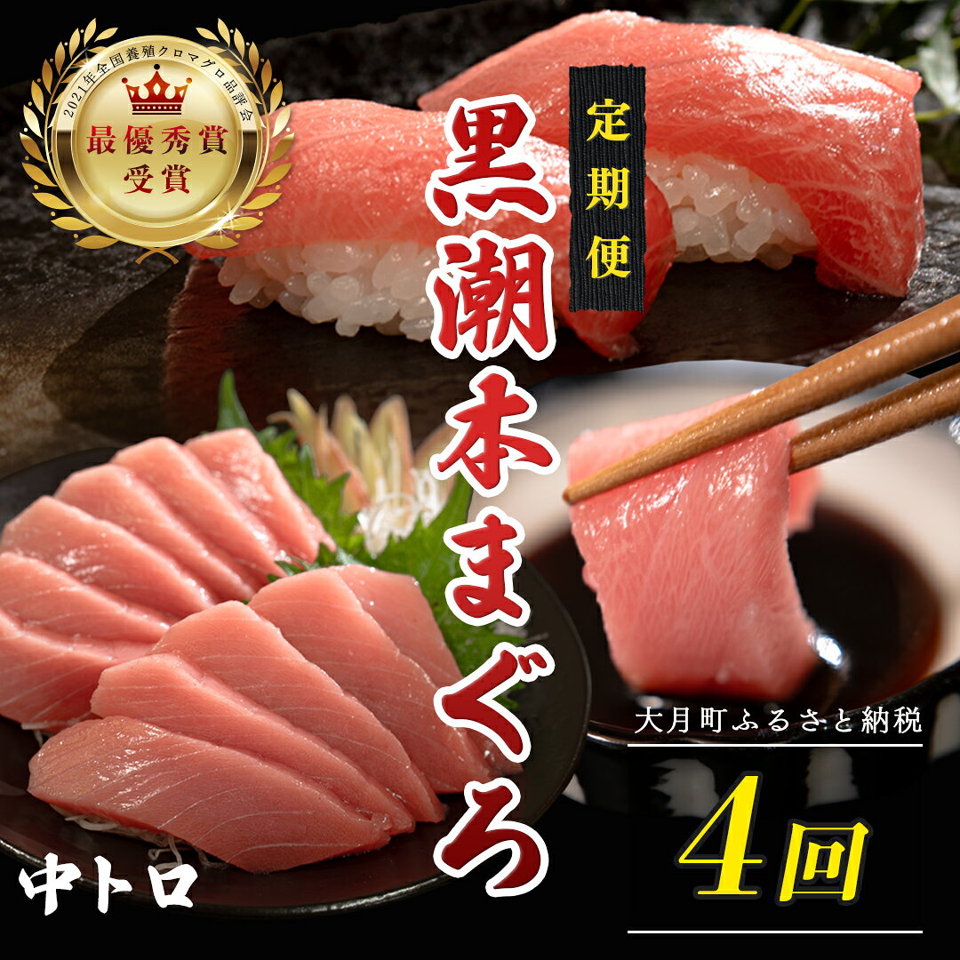 【ふるさと納税】 訳あり 不定貫 定期便 4回 国産 養殖本マグロ 中トロ 毎回120g×4回 黒潮本まぐろ 最優秀賞受賞 4ヶ月 4か月 柵 刺身用 本マグロ 本鮪 鮪 まぐろ お刺身 さしみ トロ 海鮮丼 漬け丼 手巻き寿司 まぐろ丼 冷凍 3万円