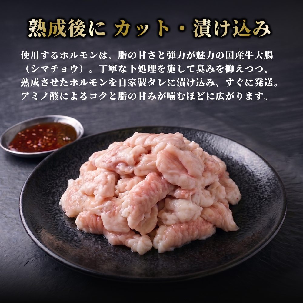 国産 上ホルモン 1.2kg | 国産 牛肉 シマチョウ 大腸 ホルモン モツ 冷凍 焼き肉 BBQ 本格 自家製タレ 韓国唐辛子 味噌ダレ 漬け肉 京都府舞鶴市