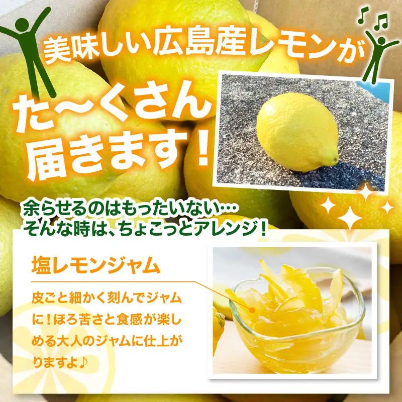 【先行受付】【2026年10月上旬～発送】とびしま海道レモン 2kg 秀品　ku212-002-26