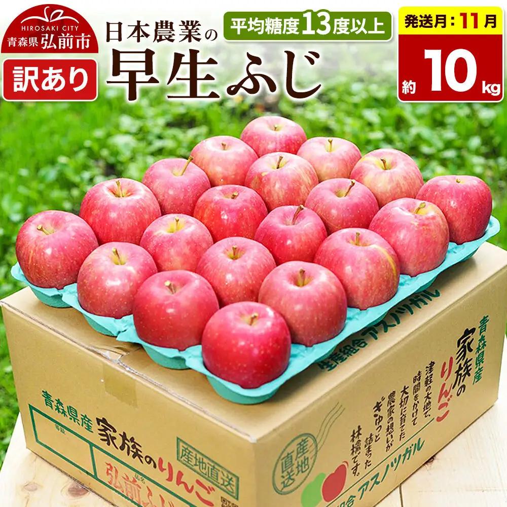 りんご 早生ふじ 訳あり 約10kg【11月発送】りんご