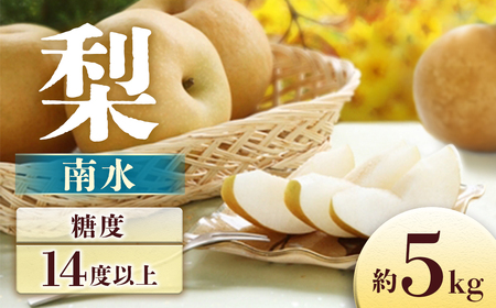 【ふるなびWEEK対象】【2026年発送先行予約】梨　南水　約5kg【8～16玉】※2026年9月頃発送予定※ [A-30] FN-Limited-PR