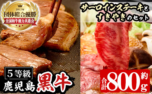 n063 (H-701)鹿児島黒牛サーロインステーキ&黒牛ウデスライス(合計800g)【種子屋久農業協同組合】