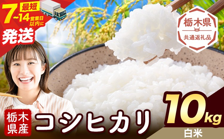 
                  令和7年度産 米 栃木県産 コシヒカリ 白米 10kg《7-14日以内に出荷予定(土日祝除く)》栃木県 野木町 米 白米 精米 国産 お米 おこめ お弁当 おにぎり【栃木県共通返礼品】
                