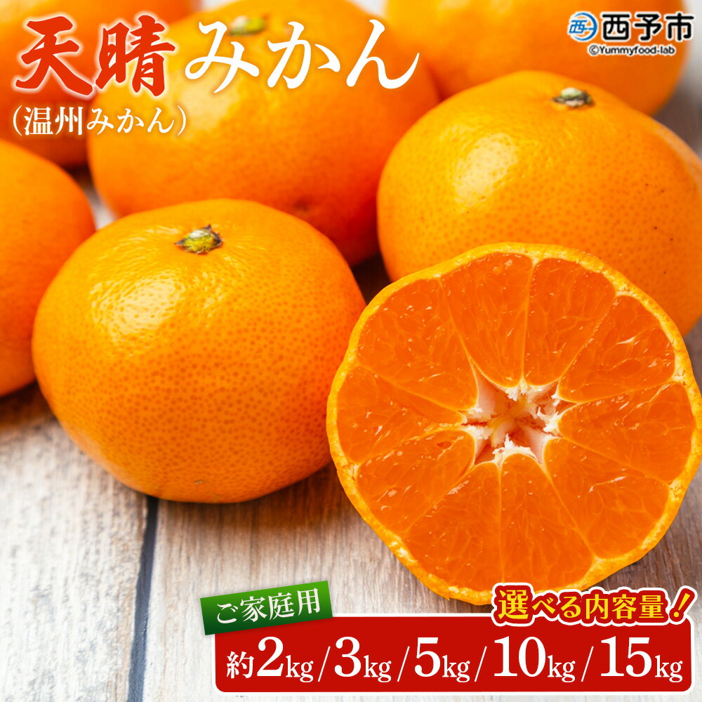 【ふるさと納税】先行予約＜愛媛県明浜産 天晴みかん（温州みかん）約2kg／3kg／5kg／10kg／15kg＞ 家庭用 訳あり ワケアリ 自宅用 果物 くだもの フルーツ ミカン 柑橘 特産品 産地直送 笑丸 愛媛県 西予市【常温】『2025年11月中旬～2026年1月上旬迄に順次出荷予定』