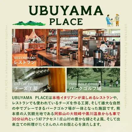 産山チーズセット モッツァレラチーズ ストラッチャテッラチーズ 株式会社UBUYAMAPLACE 2個セット《30日以内に出荷予定(土日祝除く)》