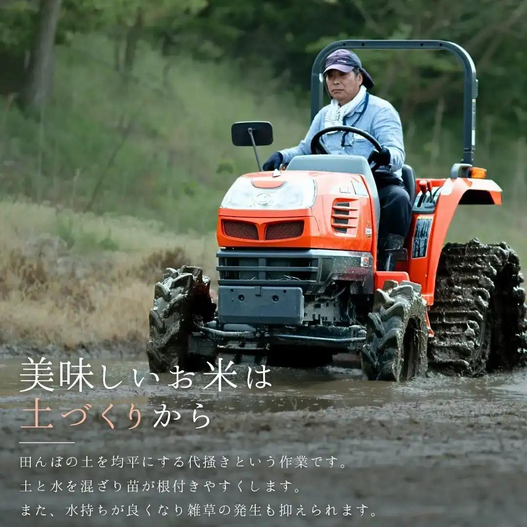 新潟県産こしいぶき 5kg 1等米 2025年産 三条市保内産 精米 白米 令和7年産 米 【016S088】
