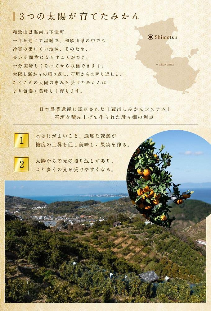 【定期便/全10回】厳選・柑橘の定期便 和歌山県下津町から農園直送！まごころ産直みかん【北海道・沖縄県・一部離島 配送不可】旬 みかん 早生 由良 完熟 蔵出し 津之輝 甘夏 不知火