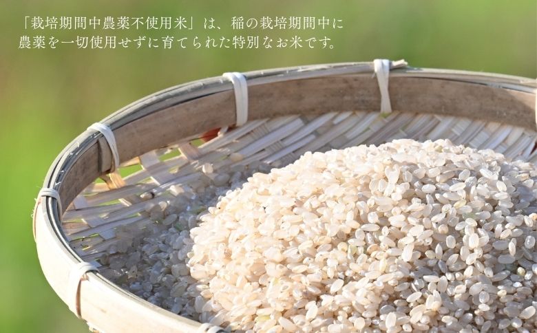 北海道奈井江産ゆめぴりか『奏穂（かなでほ）』　玄米＆白米　おためしセット　計600g　栽培期間中農薬不使用米（化学肥料5割減）