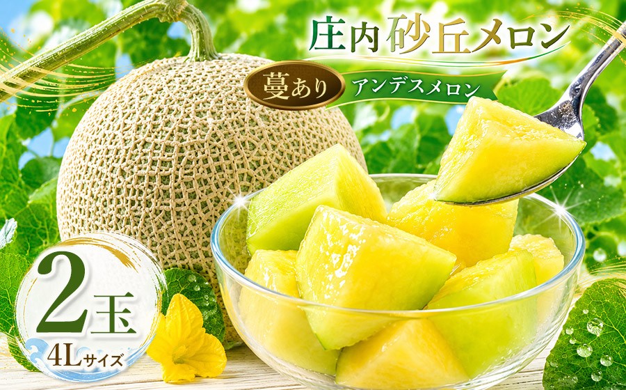 
                  【令和9年産先行予約】菅原農園の庄内砂丘メロン 4Lサイズ2玉 アンデスメロン 蔓あり【7月下旬～8月上旬】 K-920 鶴岡地区物産協同組合 | ギフト 夏 旬 フルーツ 夏ギフト お中元 甘い 果物 青肉 特産品 名産品 贈答 産地直送 農園直送
                