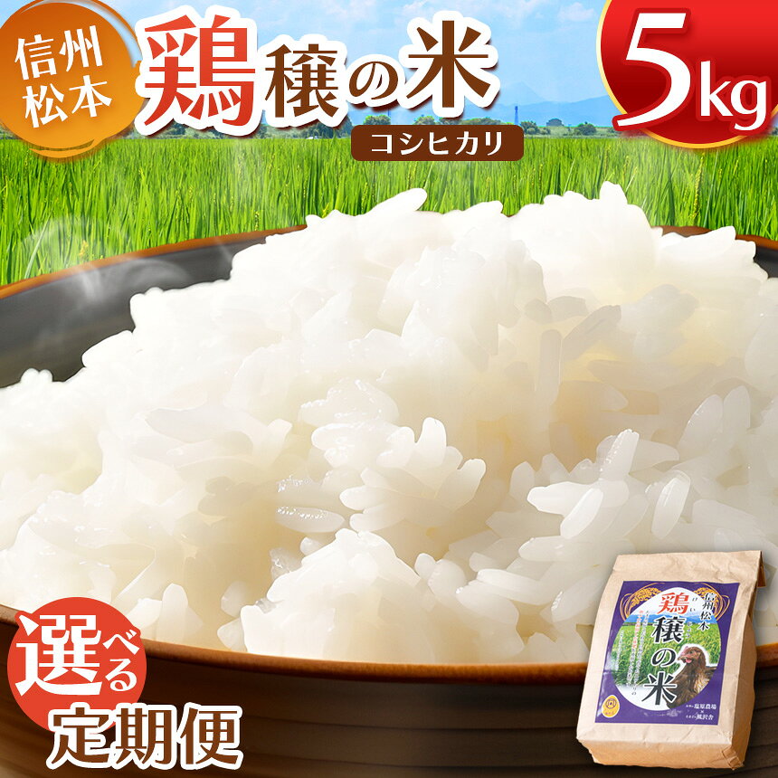 【ふるさと納税】鶏穣（けいじょう）の米 5kg【選べる 定期便】単品 or 2ヶ月 or 4ヶ月 or 6ヶ月 or 12ヶ月｜ 米 コシヒカリ こしひかり 鶏穣の米 信州 松本産 長野県 信州米 こめ 白米 おこめ ごはん 銘柄米 単一米 信州産 ふるさと納税 単品 定期便