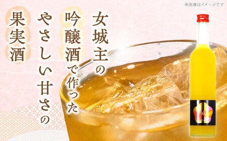 あらごし 梅酒 500ml / 恵那市 / 岩村醸造 [AUAK009] 梅酒