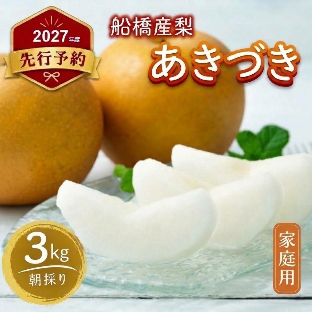 D031-2027 【家庭用】果汁たっぷりの極上梨「あきづき・3kg」（2027年産）