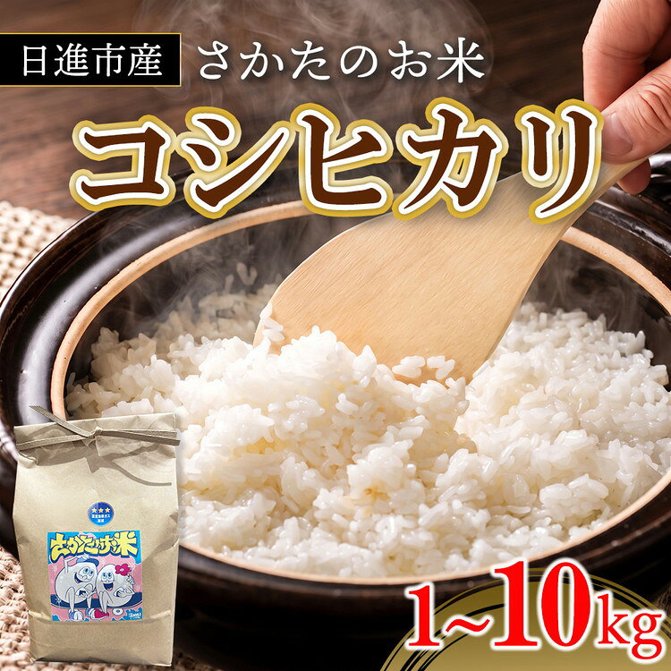 【ふるさと納税】【先行予約】【選べる容量】令和8年度産 コシヒカリ 1kg 3kg 10kg さかたのお米 白米 ライス 精米 新米 愛知県 日進市　お届け：2026年10月1日～2027年1月31日まで