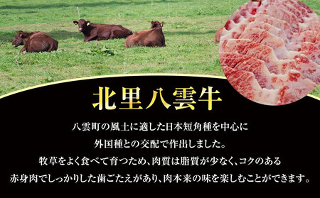 無塩せきコンビーフ95g×6缶 北里八雲牛