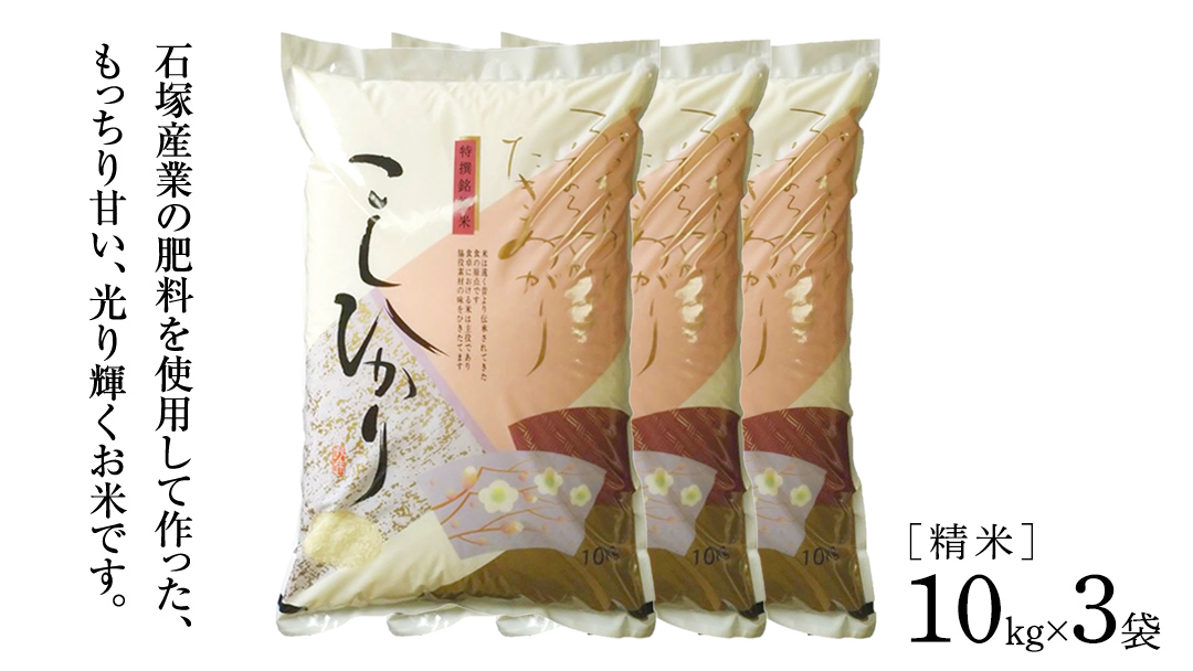 【 3ヶ月 定期便 】【 令和7年産 】 コシヒカリ 精米 10kg × 3回 ( 合計 30kg )（茨城県共通返礼品かすみがうら市）米 もっちり 甘い 銘柄米 [EX019sa]