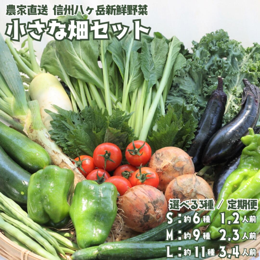 【ふるさと納税】≪選べるサイズと定期便≫のらくら農場　信州北八ヶ岳からお届け～ちいさな畑セット～[NK-101]