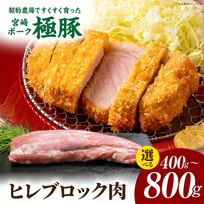 【ふるさと納税】【選べる内容量】すくすく育った宮崎ポーク極豚ヒレブロック 400g～800g