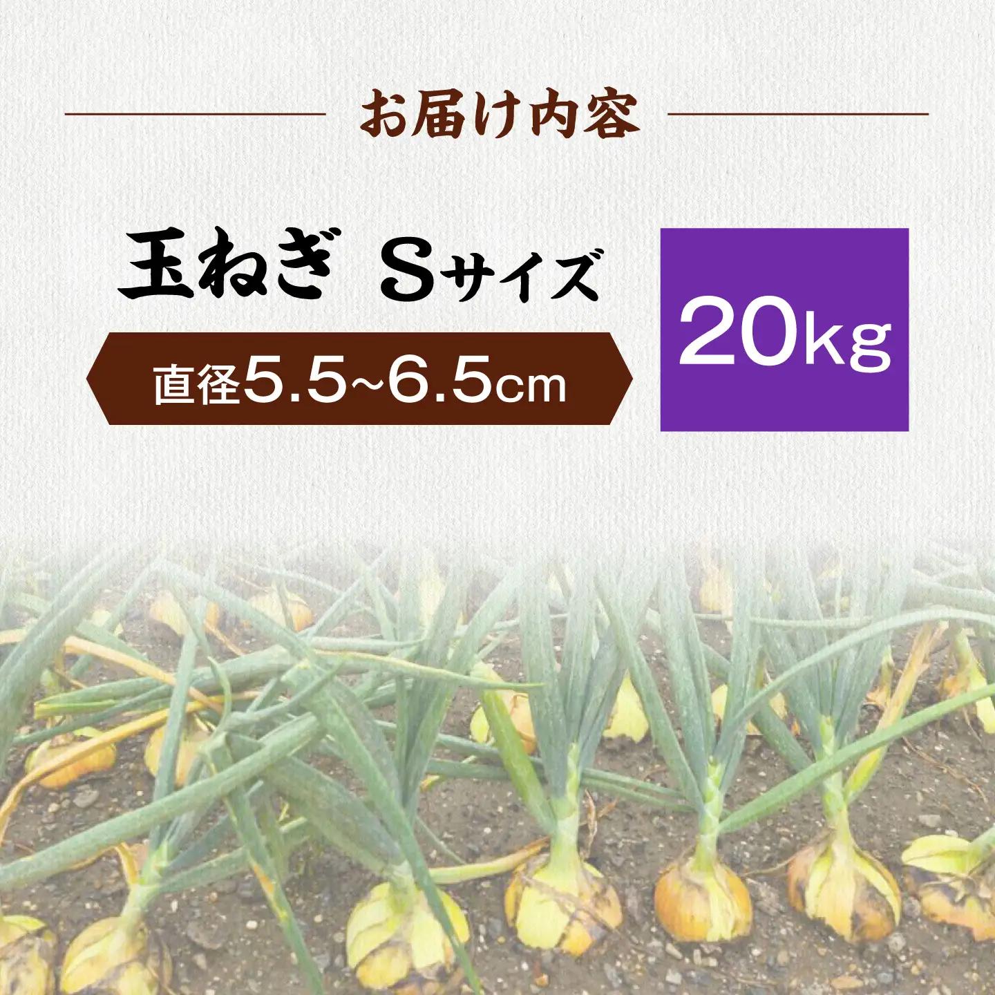 玉ねぎ20kg（Sサイズ）[AQDZ013]玉ねぎ