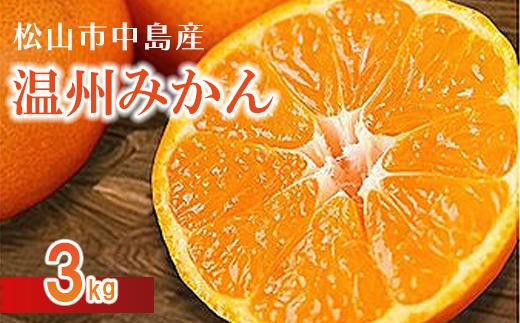 
松山市中島産 温州みかん 約3kg
