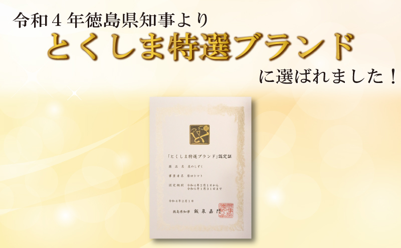 トマト フルーツトマト 1.7kg 野菜 やさい トマト 薄皮 星のしずく 完熟 高糖度 糖度 8度 果物 スイーツ ジュース パスタ スパゲティー ソース サラダ ドレッシング 鍋 サンドイッチ ハ