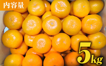 熊本 みかん 約 5kg 化粧箱入り 【かきやま果実】ミカン 柑橘 熊本みかん 九州 国産 果物 フルーツ [ZCJ004]