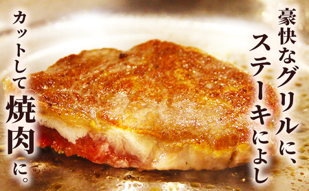 ＜熟成肉 はなが牛リブロースブロック約800g（800g×1個）＞ 牛肉 ステーキ 鉄板焼き 焼き肉 国産 塊肉 かたまり 霜降り しもふり バーベキュー BBQ キャンプ アウトドア 特産品 ゆうぼ