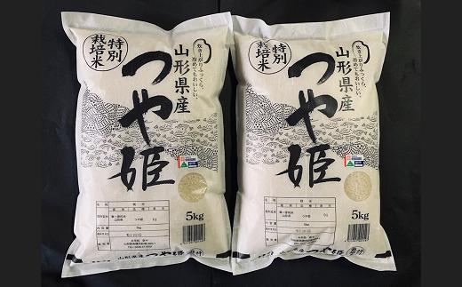 【令和6年産 新米 先行予約】 【農薬使用量8割減】 特別栽