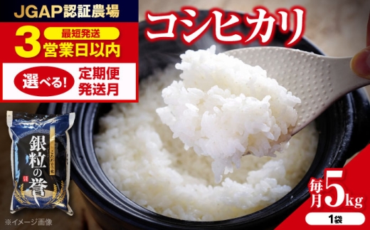 【スピード発送】こしひかり 5kg コシヒカリ こしひかり 米 5kg 5キロ お米 こめ おこめ コメ 白米 令和7年産 令和7年度米 ごはん ご飯 精米 お歳暮 お中元 定期便 送料無料 泉水の米 お米 R7年米 精米 kome 食卓 主食 食事 料理 自炊 お弁当 おむすび 朝食 粘り おいしい 国産 広島県産 三次市 / アグリ君田 [APDC001]